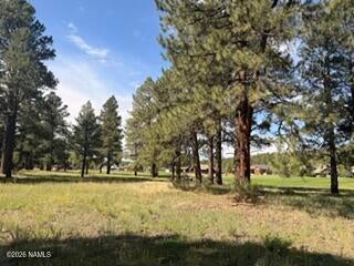 2967 W Highland Meadows Drive