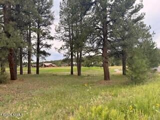 2967 W Highland Meadows Drive