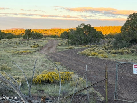 Photo of Williams, AZ 86046 (MLS # 206380)