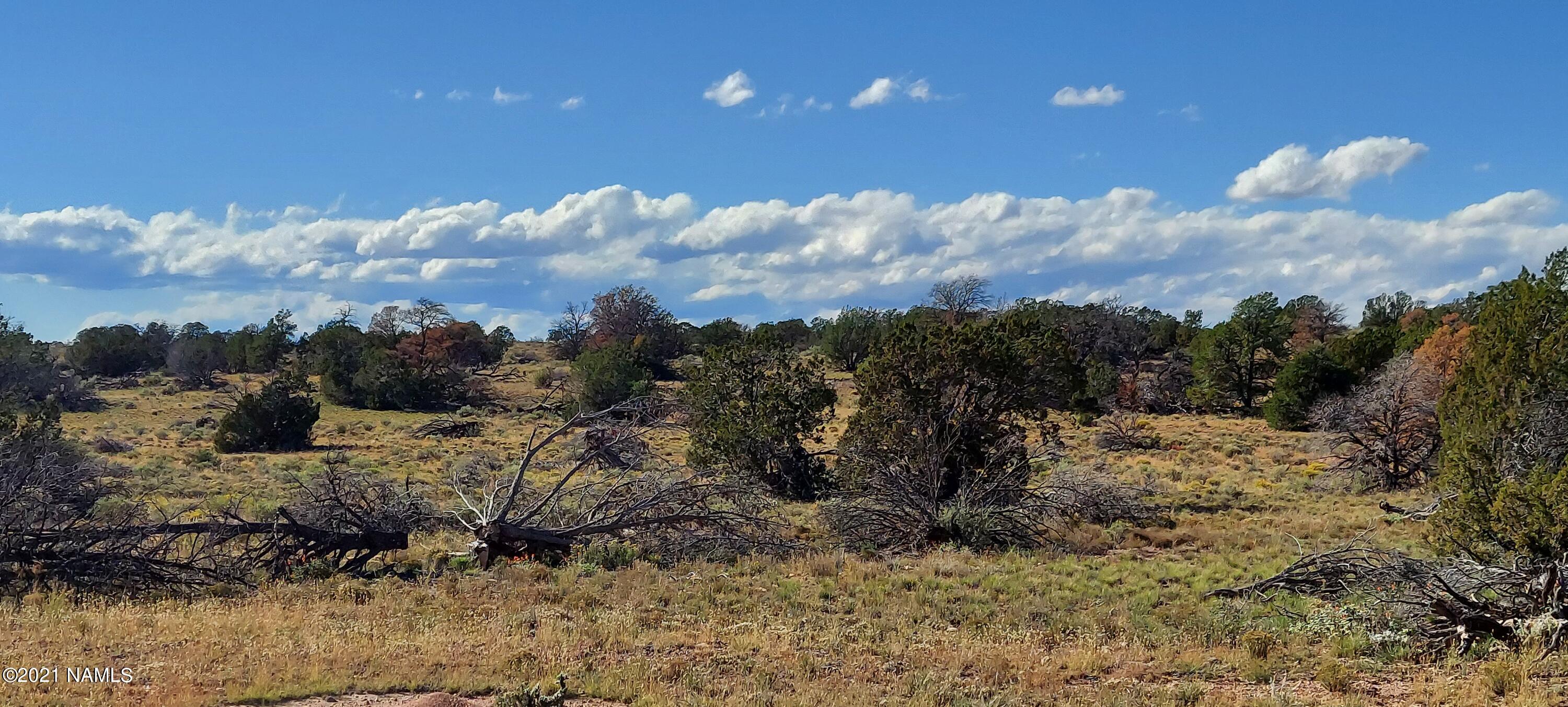 6863 N State Route 64