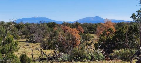 Photo of Williams, AZ 86046 (MLS # 203140)