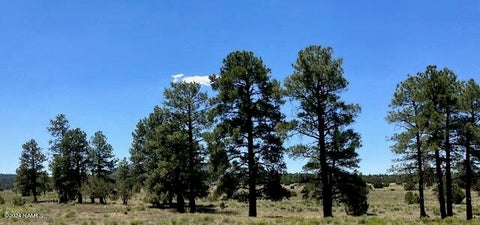 Photo of Williams, AZ 86046 (MLS # 205120)