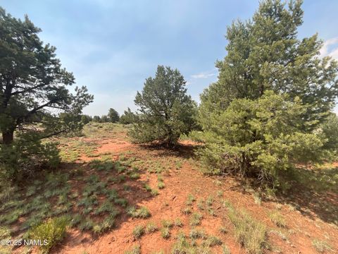 Photo of Williams, AZ 86046 (MLS # 201526)