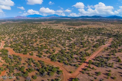 Photo of Williams, AZ 86046 (MLS # 204998)