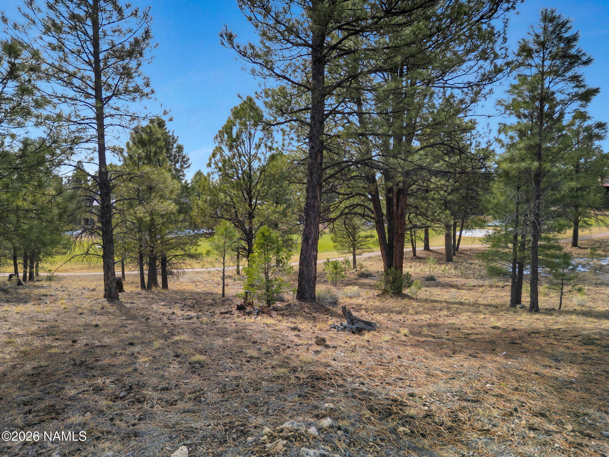 1694 E Marbella Court 18