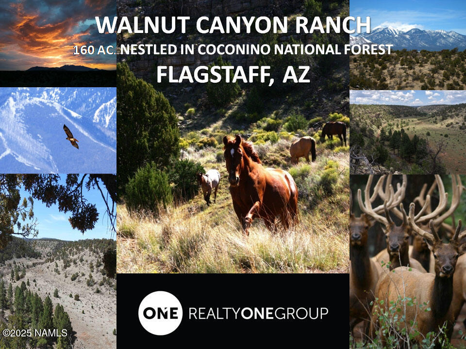 12899 Stockmens Road