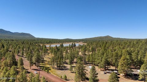Photo of Williams, AZ 86046 (MLS # 202287)