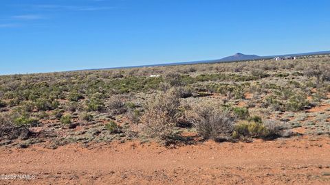 Photo of Williams, AZ 86046 (MLS # 203861)