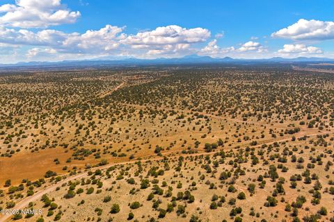 Photo of Williams, AZ 86046 (MLS # 203987)