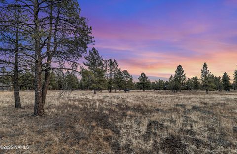 3353 N Cazadero Trail Flagstaff AZ 86001