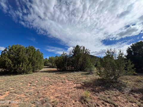 Photo of Williams, AZ 86046 (MLS # 206071)