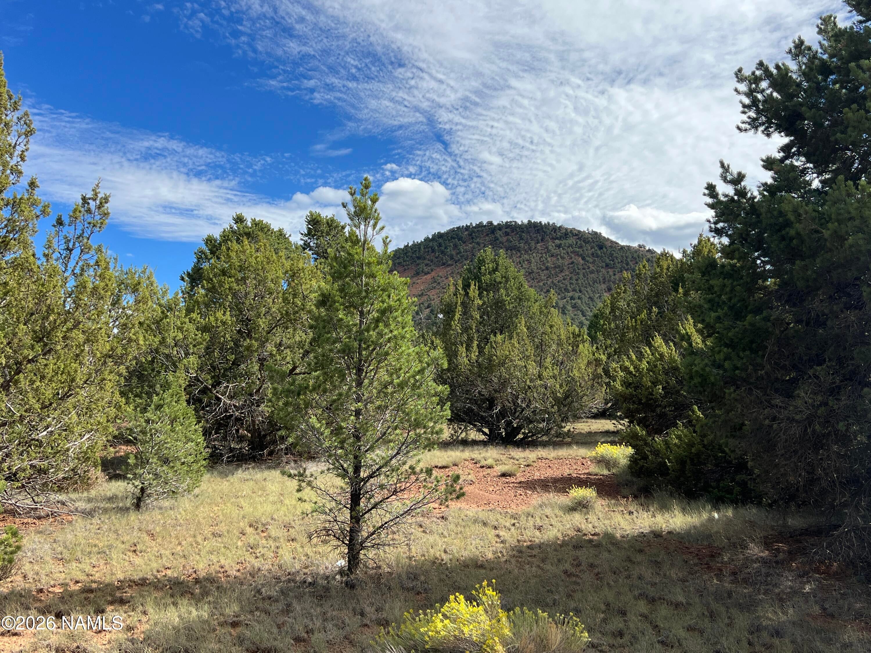 7197 N Red Lake Road