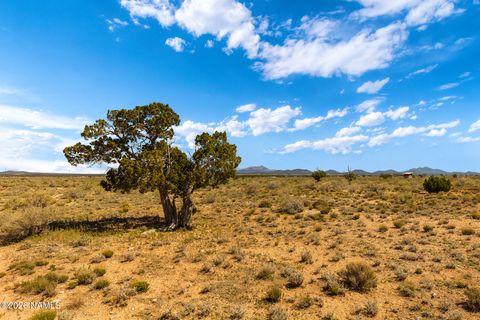 Photo of Williams, AZ 86046 (MLS # 203982)