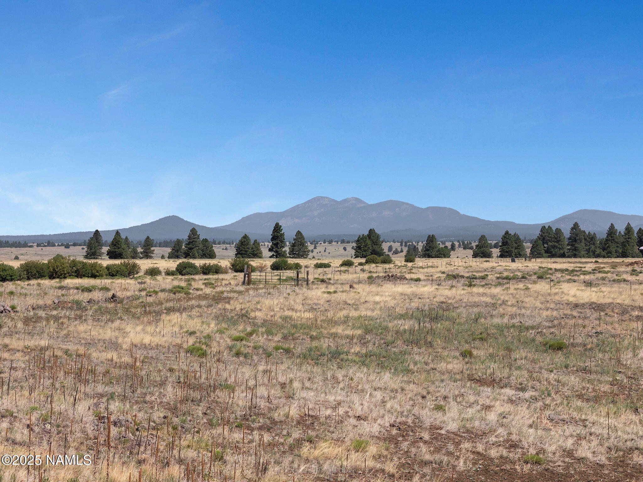 13373 E Dog Haven Place