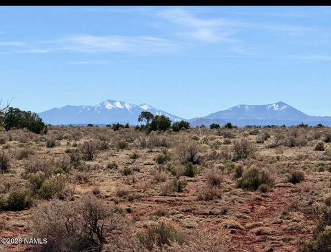 339 S San Luis Drive Williams AZ 86046