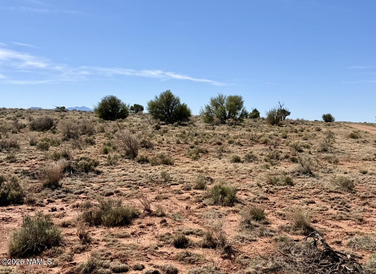 339 S San Luis Drive