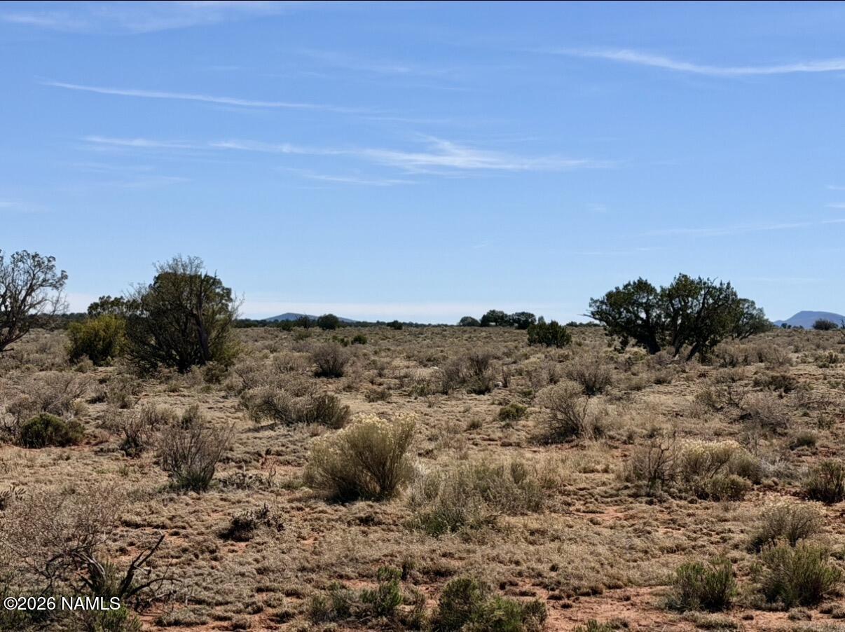 339 S San Luis Drive