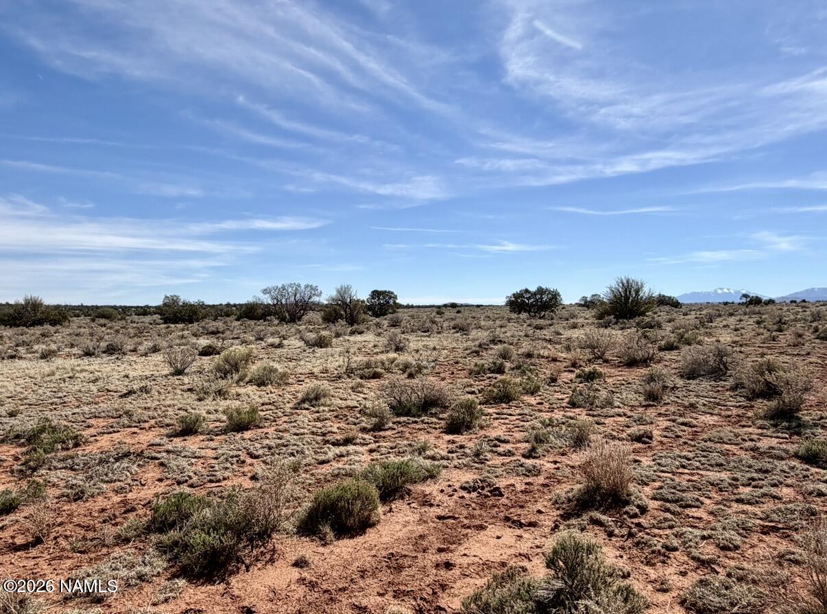 339 S San Luis Drive