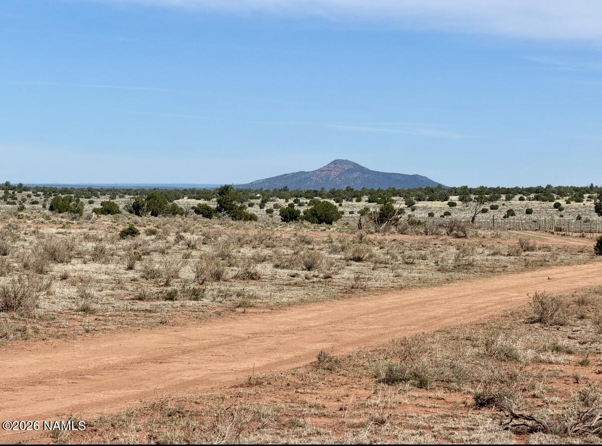 339 S San Luis Drive