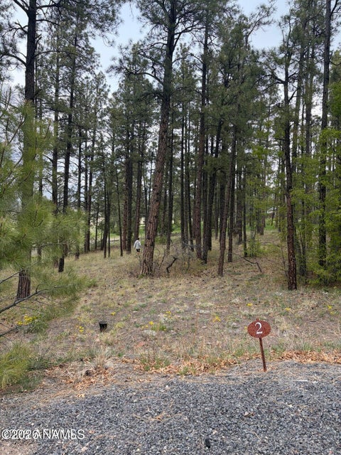 Photo of Williams, AZ 86046 (MLS # 204667)
