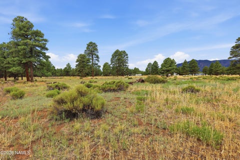 Photo of Flagstaff, AZ 86004 (MLS # 205481)