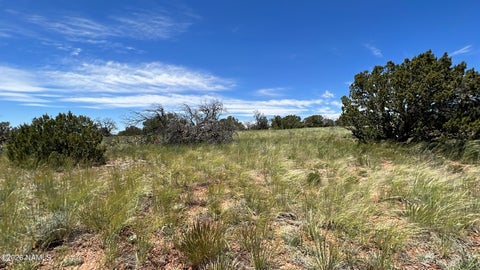 Photo of Williams, AZ 86046 (MLS # 205071)