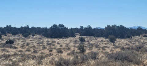 Photo of Williams, AZ 86046 (MLS # 206462)