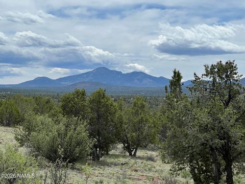 Photo of Williams, AZ 86046 (MLS # 204160)