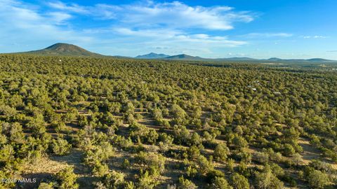 Photo of Williams, AZ 86046 (MLS # 201566)