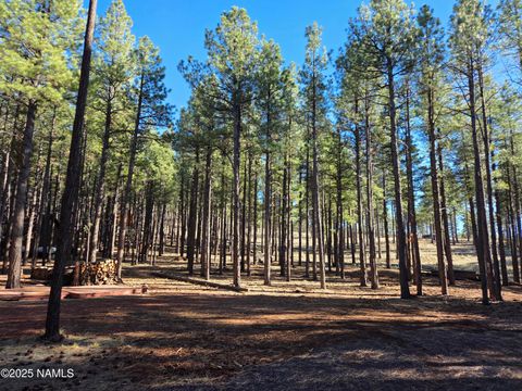 13398 E Fallow Deer Road Parks AZ 86018