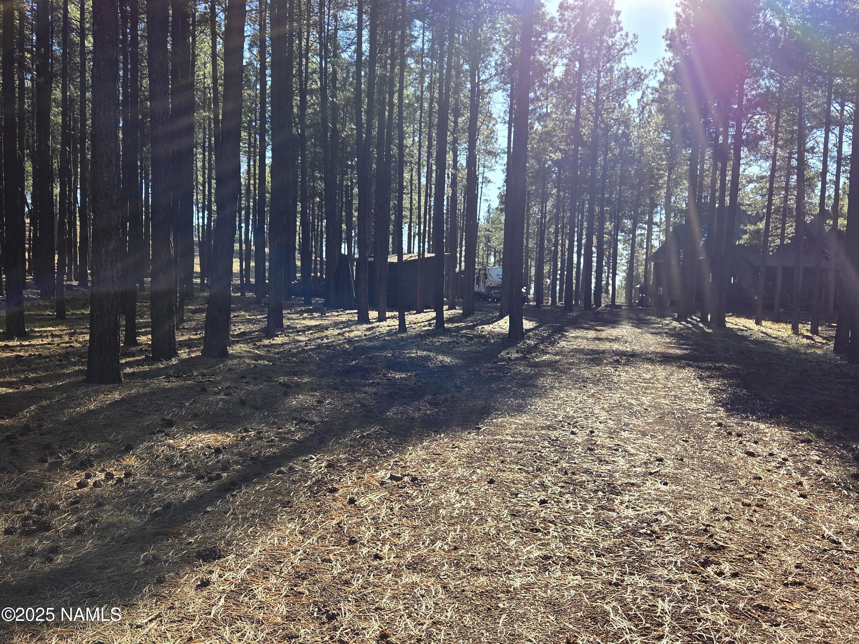 13398 E Fallow Deer Road