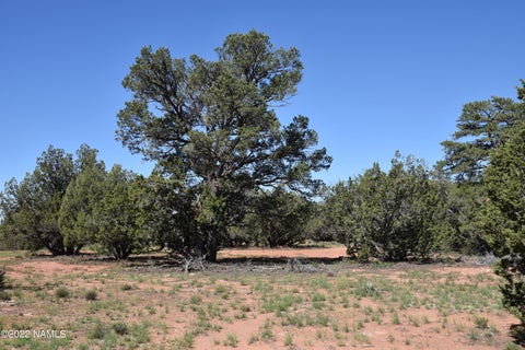 Featured picture for the property 194028