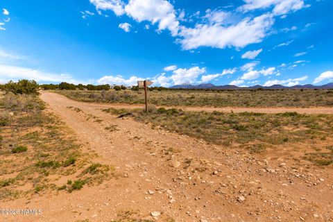 Photo of Williams, AZ 86046 (MLS # 204112)