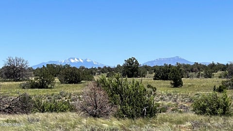 Photo of Williams, AZ 86046 (MLS # 205070)