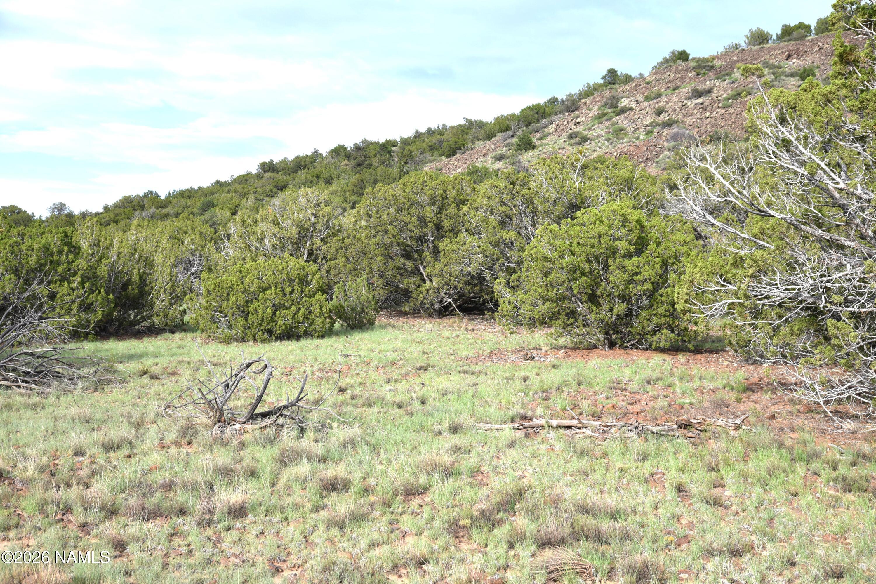 11310 S Grey Hawk Way