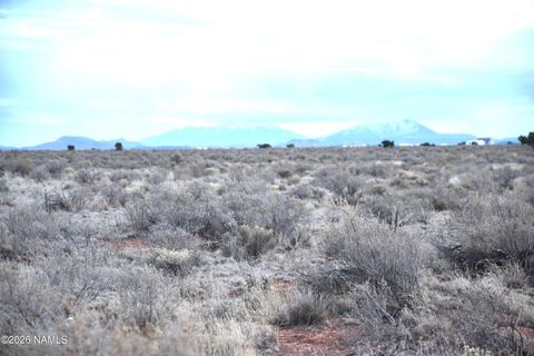 Photo of Williams, AZ 86046 (MLS # 203386)