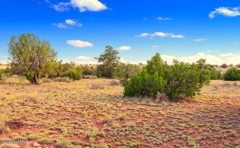 Photo of Williams, AZ 86046 (MLS # 205488)