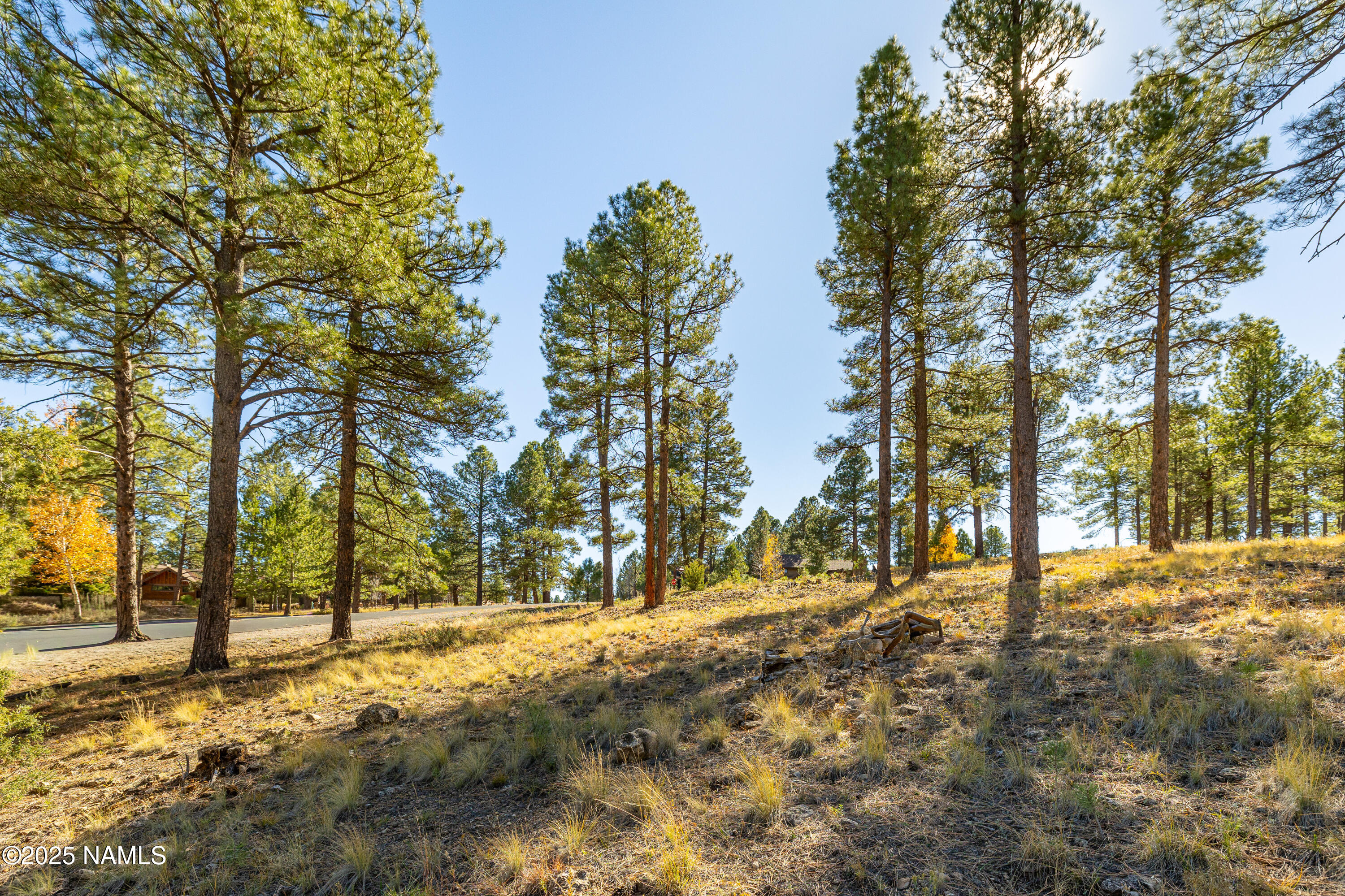 1615 E Morgan Run Drive