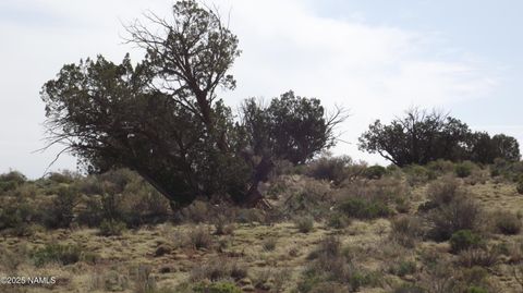 Photo of Williams, AZ 86046 (MLS # 203505)