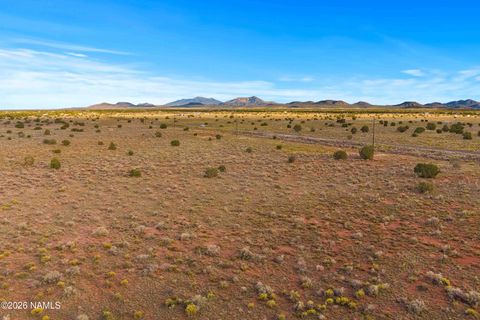 Photo of Williams, AZ 86046 (MLS # 202234)