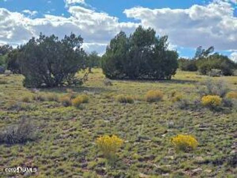 6154 Fire Sky Trl Lot D Williams AZ 86046