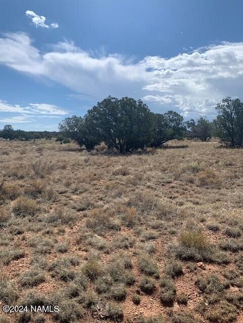 Photo of Williams, AZ 86046 (MLS # 197844)