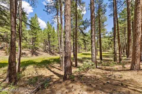 Photo of Flagstaff, AZ 86005 (MLS # 198861)
