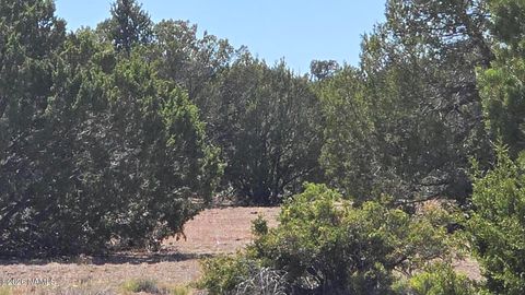 Photo of Williams, AZ 86046 (MLS # 204800)