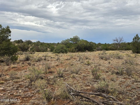 Photo of Williams, AZ 86046 (MLS # 204916)