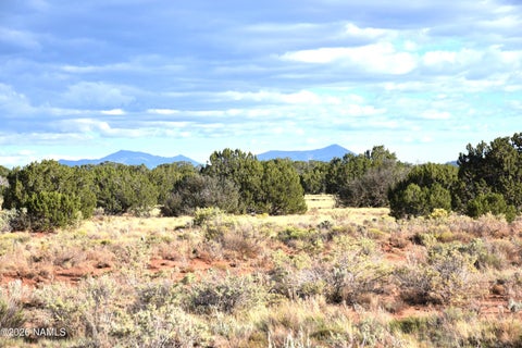 Featured picture for the property 206198