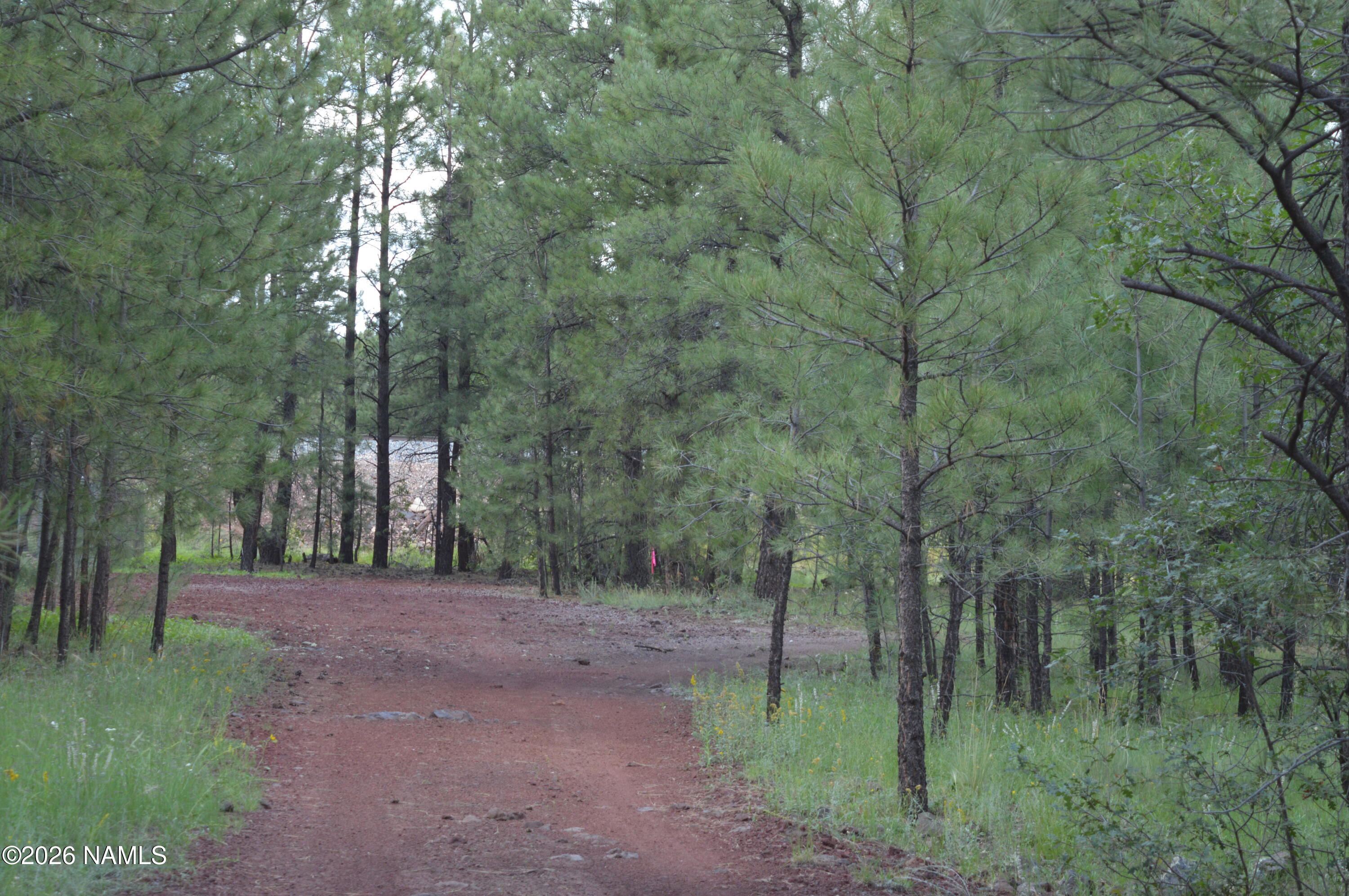 24a N Philip Drive