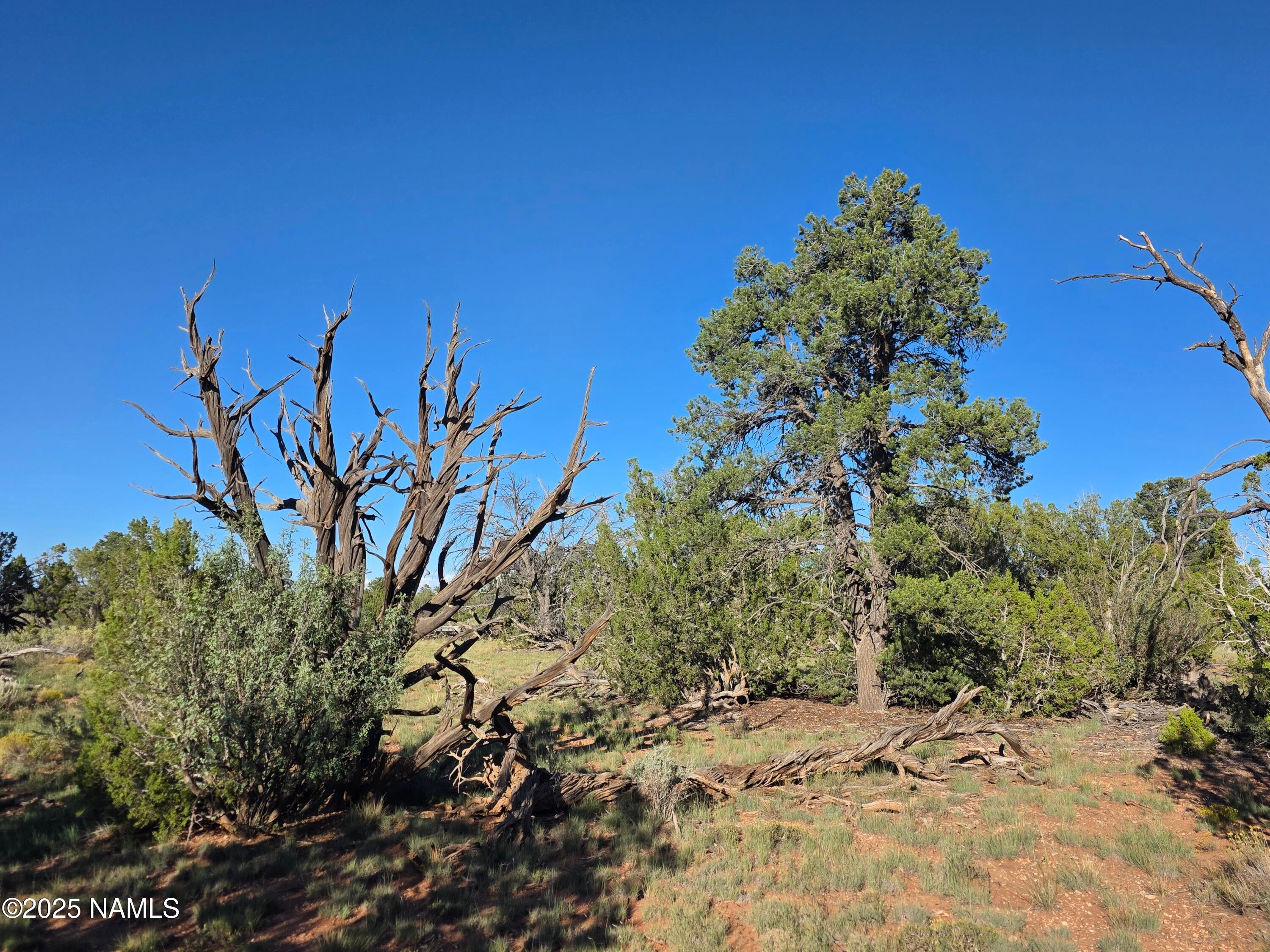 10072 Red Butte Rd Lot C