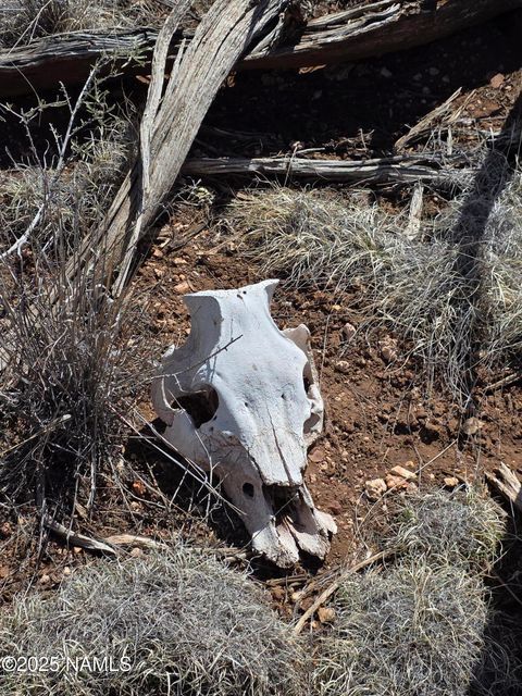 Photo of Williams, AZ 86046 (MLS # 200349)