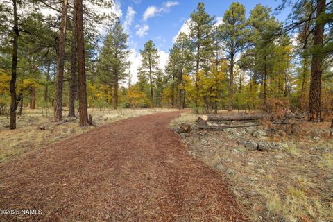 Photo of Parks, AZ 86018 (MLS # 202492)